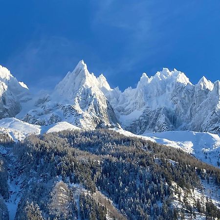 Chamonix Superbe Appartement Vue Mont Blanc Ngoại thất bức ảnh