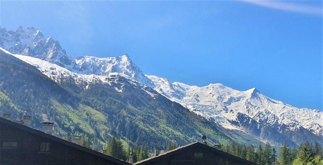 Chamonix Superbe Appartement Vue Mont Blanc Ngoại thất bức ảnh