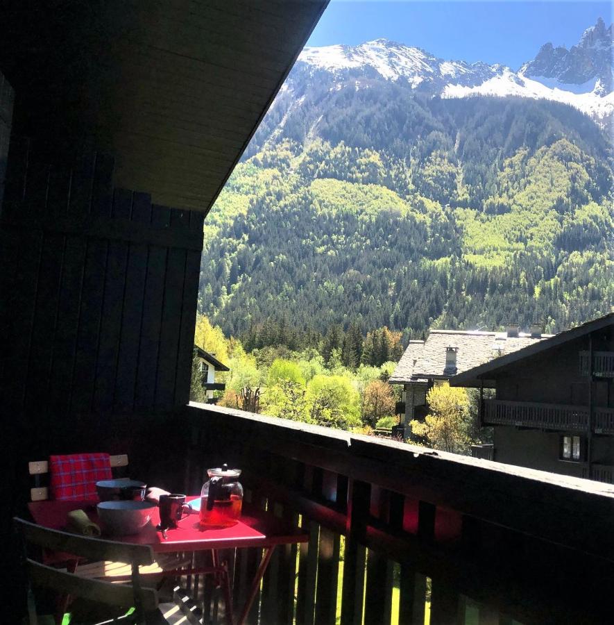 Chamonix Superbe Appartement Vue Mont Blanc Ngoại thất bức ảnh