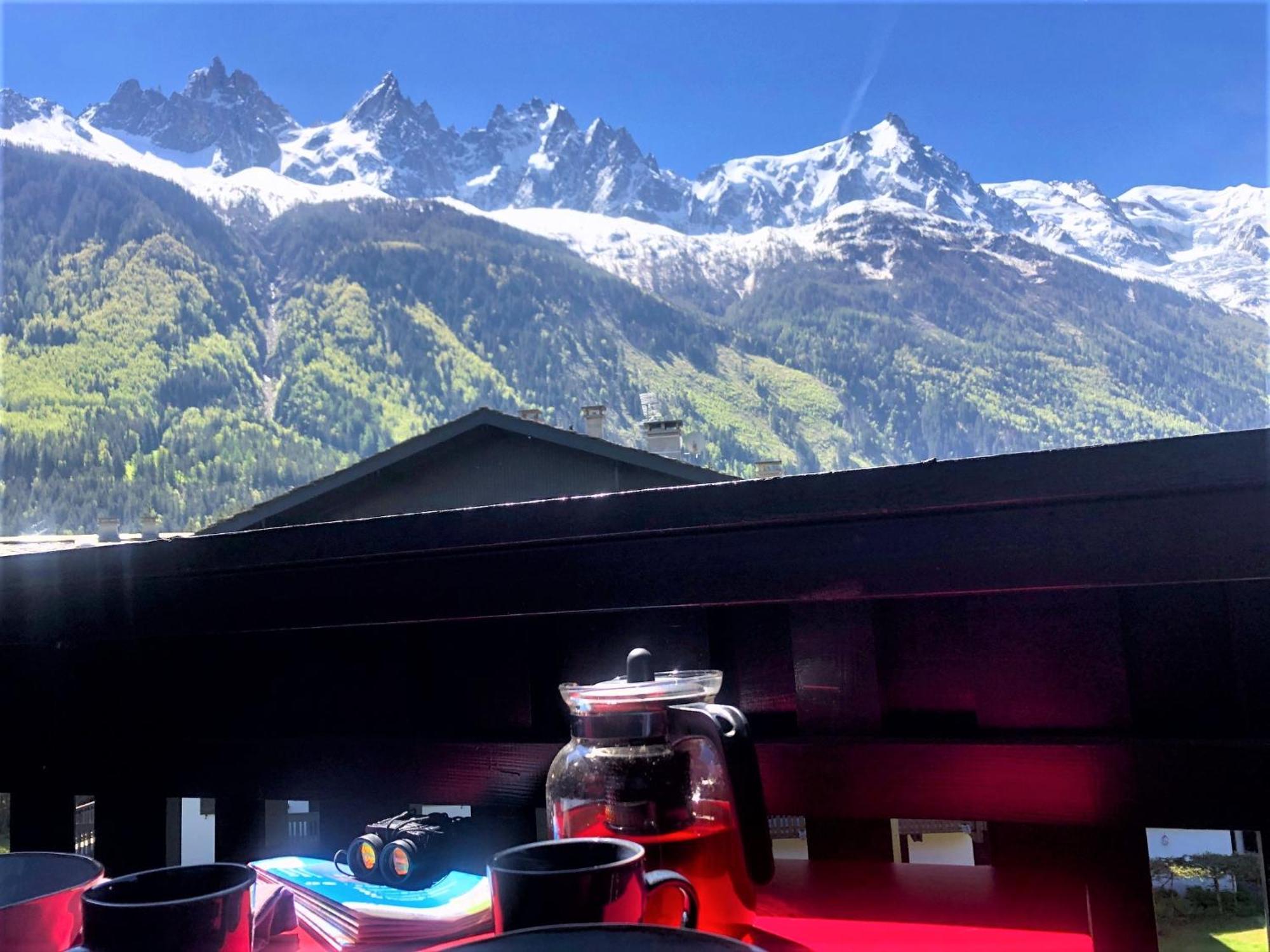 Chamonix Superbe Appartement Vue Mont Blanc Ngoại thất bức ảnh