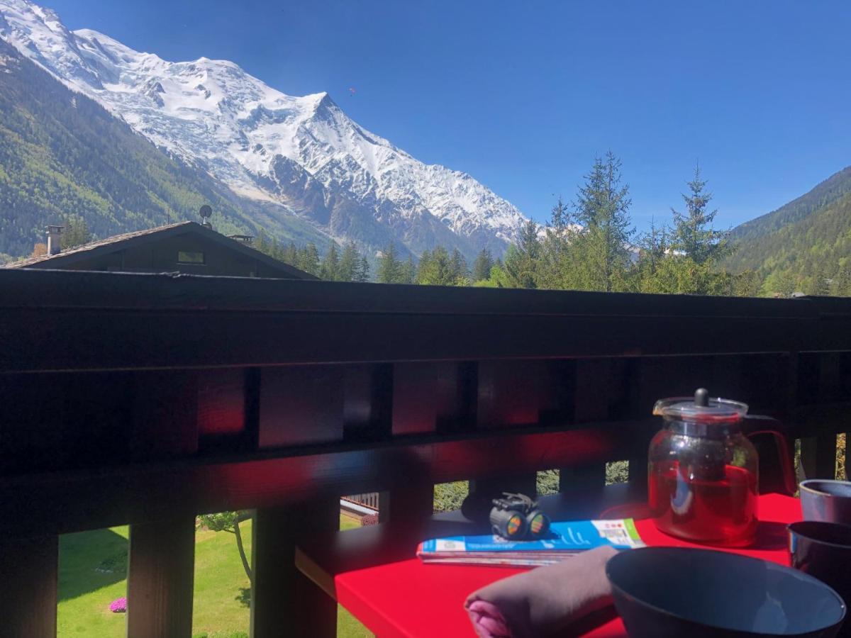 Chamonix Superbe Appartement Vue Mont Blanc Ngoại thất bức ảnh
