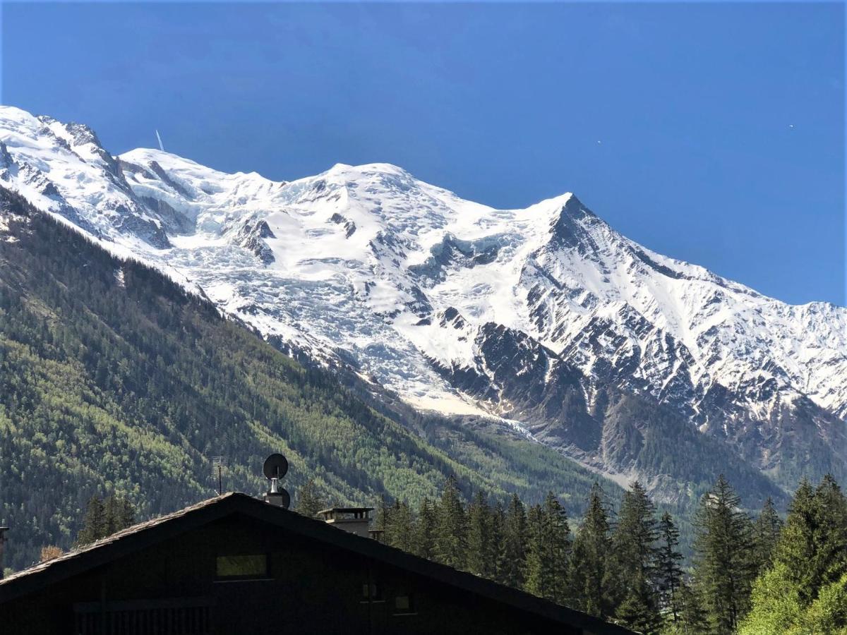 Chamonix Superbe Appartement Vue Mont Blanc Ngoại thất bức ảnh