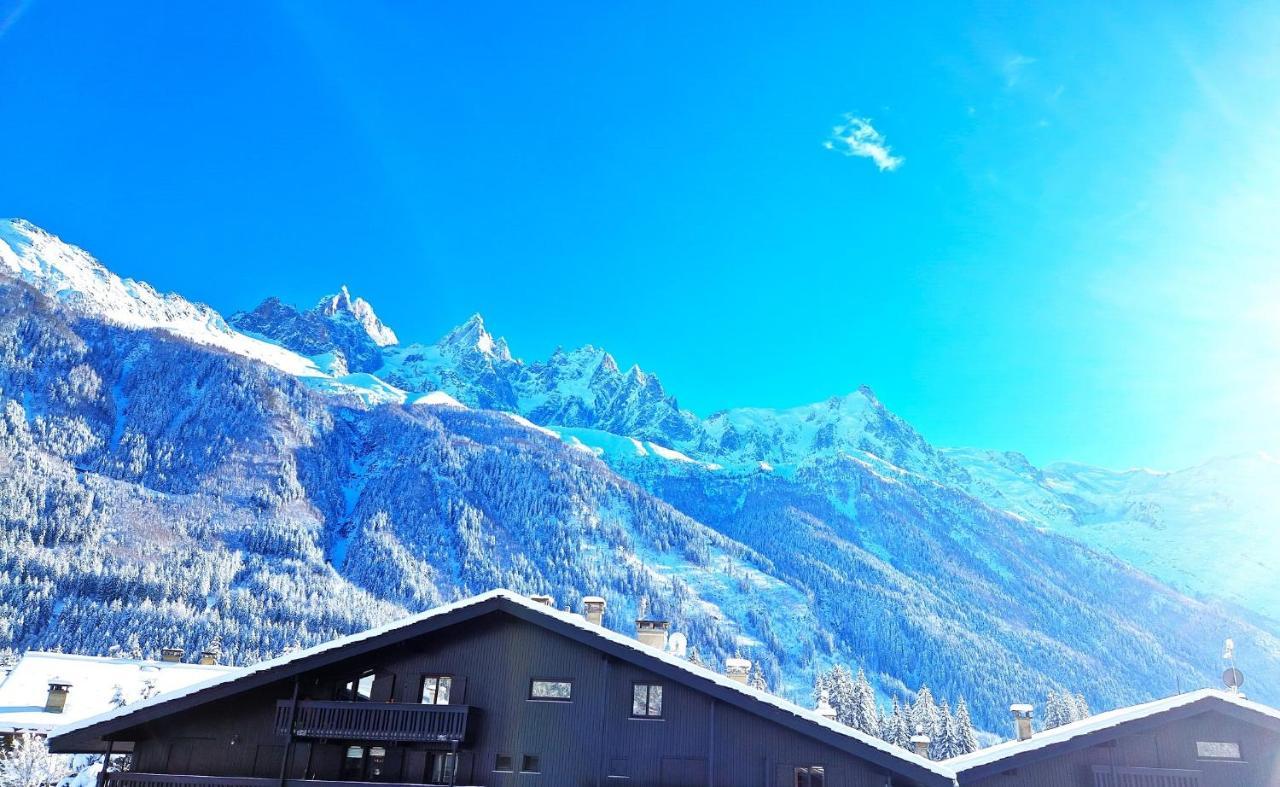 Chamonix Superbe Appartement Vue Mont Blanc Ngoại thất bức ảnh